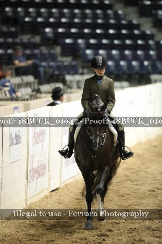 Proof 18BUCK_01047