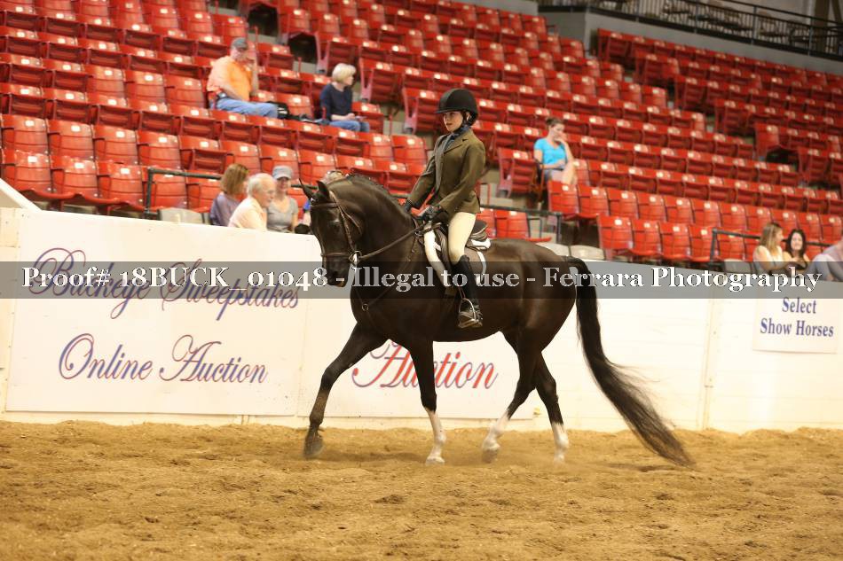 Proof 18BUCK_01048