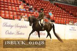 18BUCK_01048 proof