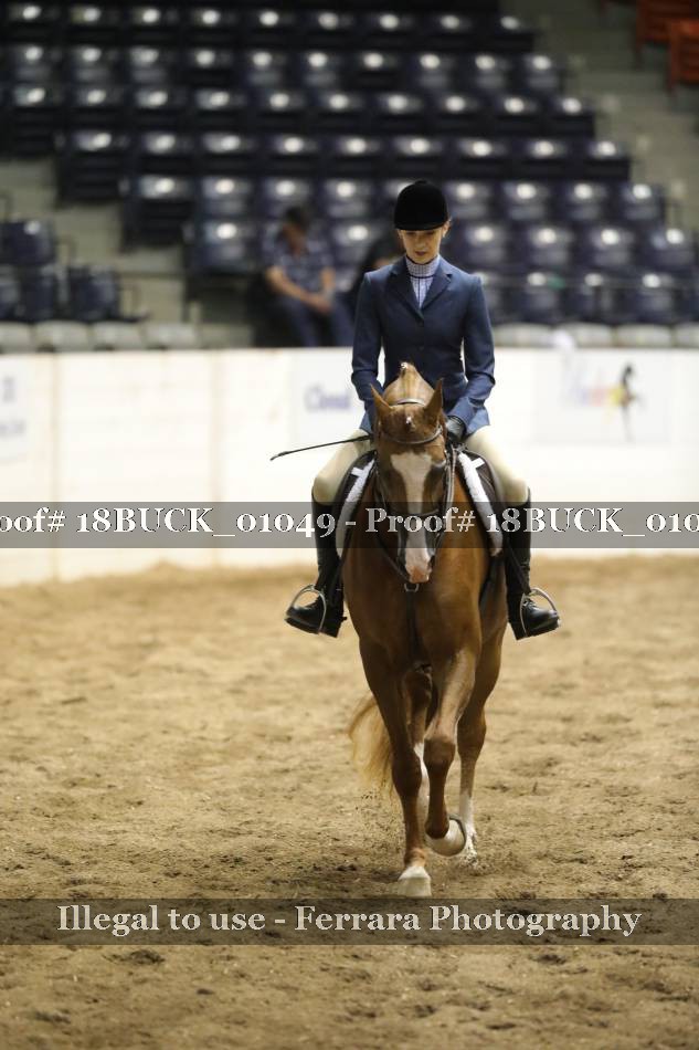 Proof 18BUCK_01049