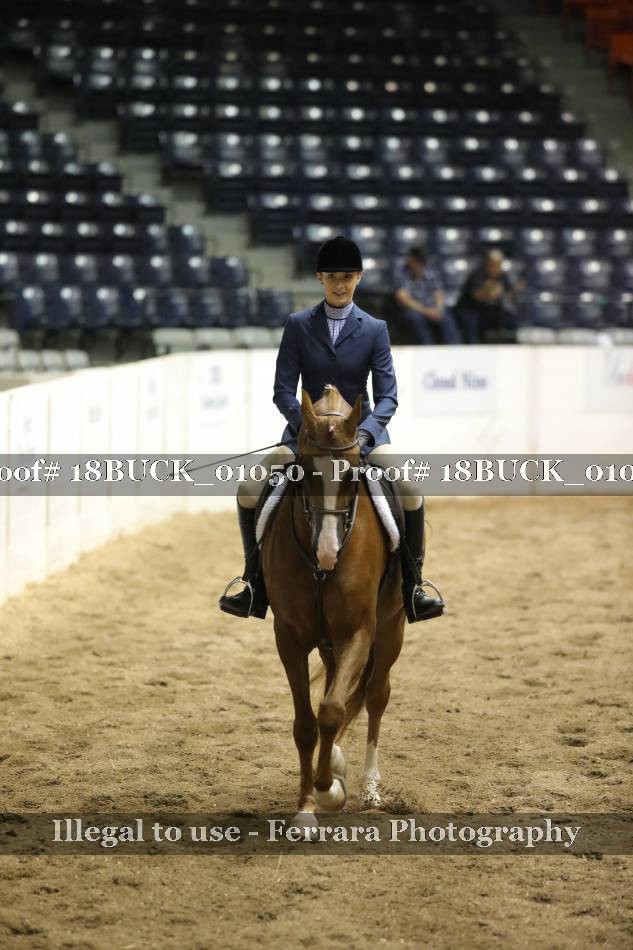 Proof 18BUCK_01050