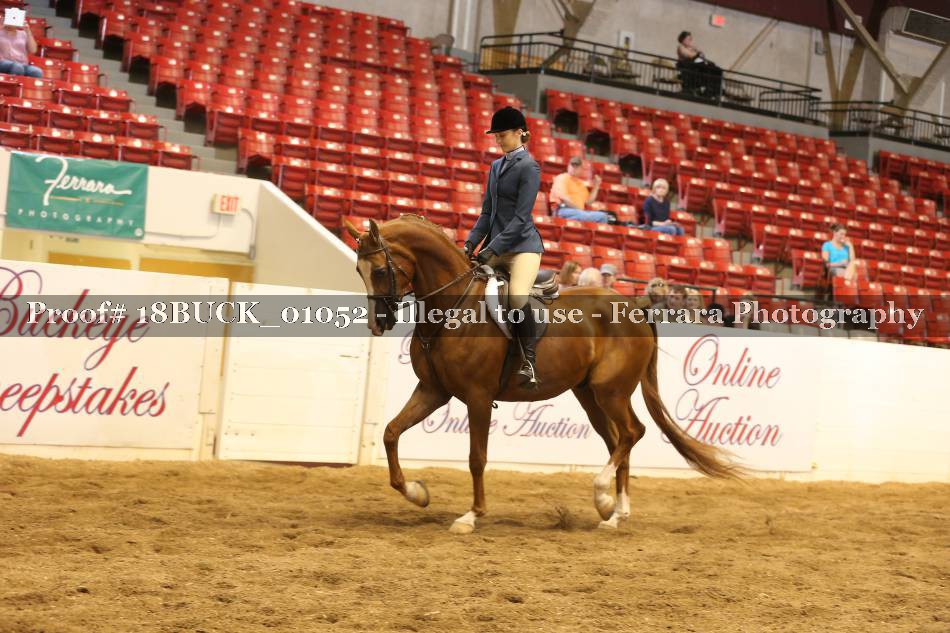 Proof 18BUCK_01052