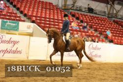 18BUCK_01052 proof