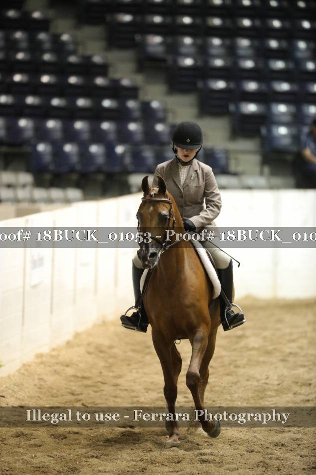 Proof 18BUCK_01053