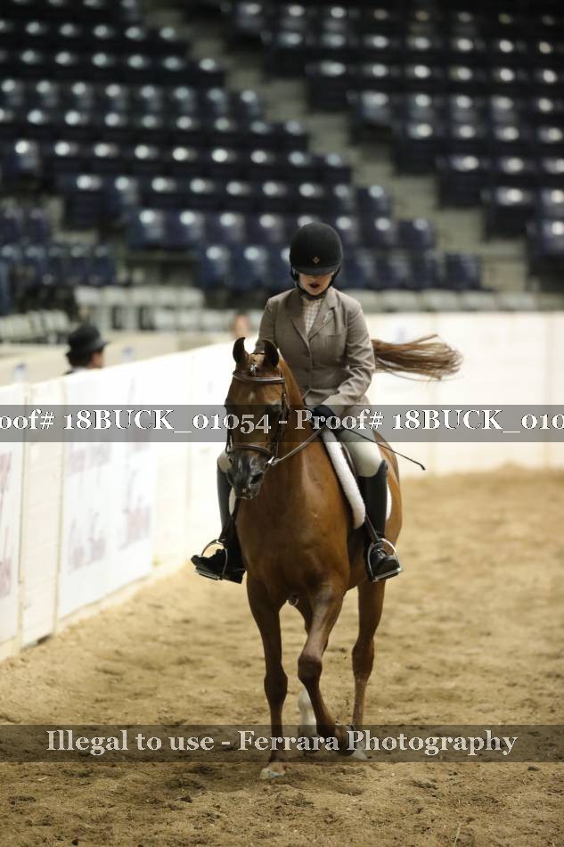 Proof 18BUCK_01054