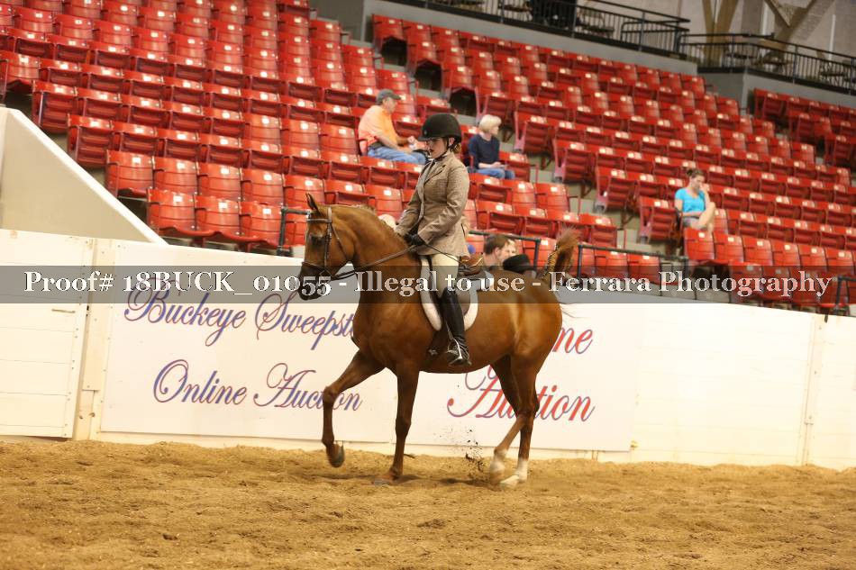 Proof 18BUCK_01055