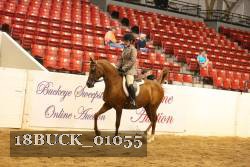 18BUCK_01055 proof
