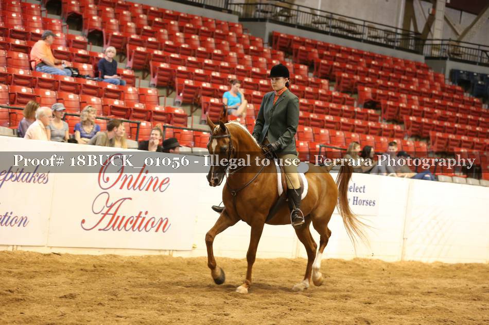 Proof 18BUCK_01056