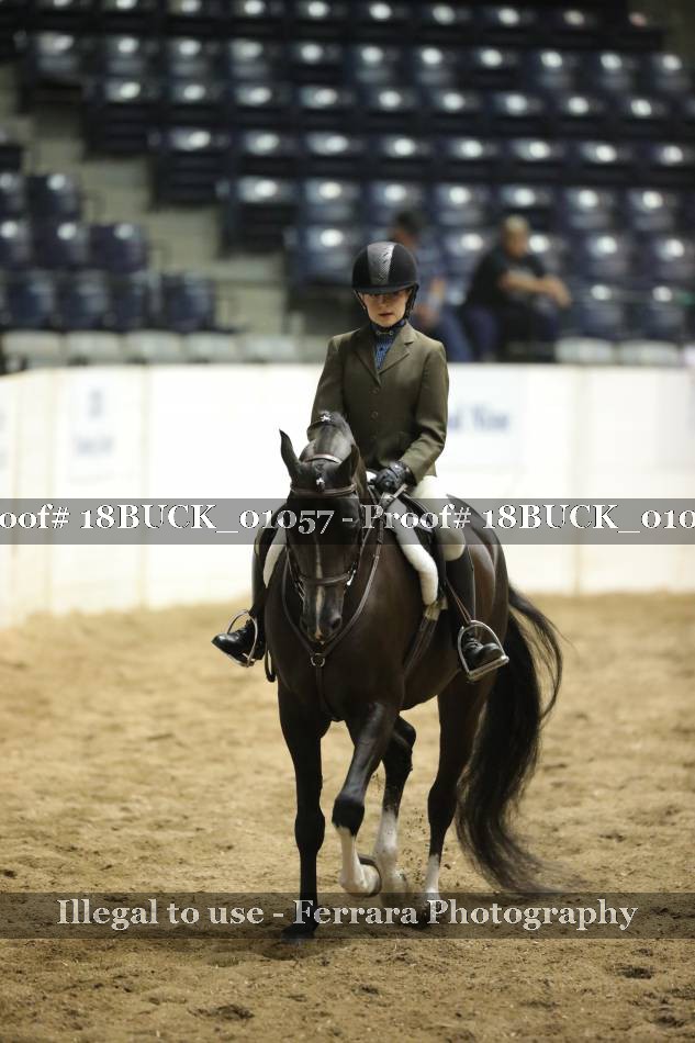 Proof 18BUCK_01057
