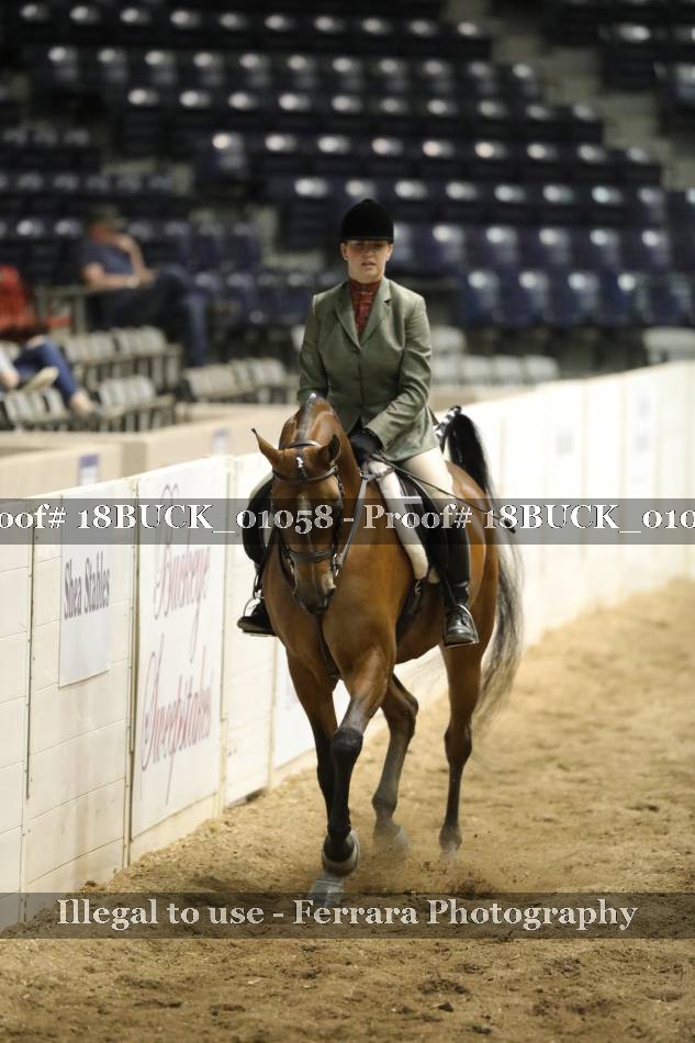 Proof 18BUCK_01058