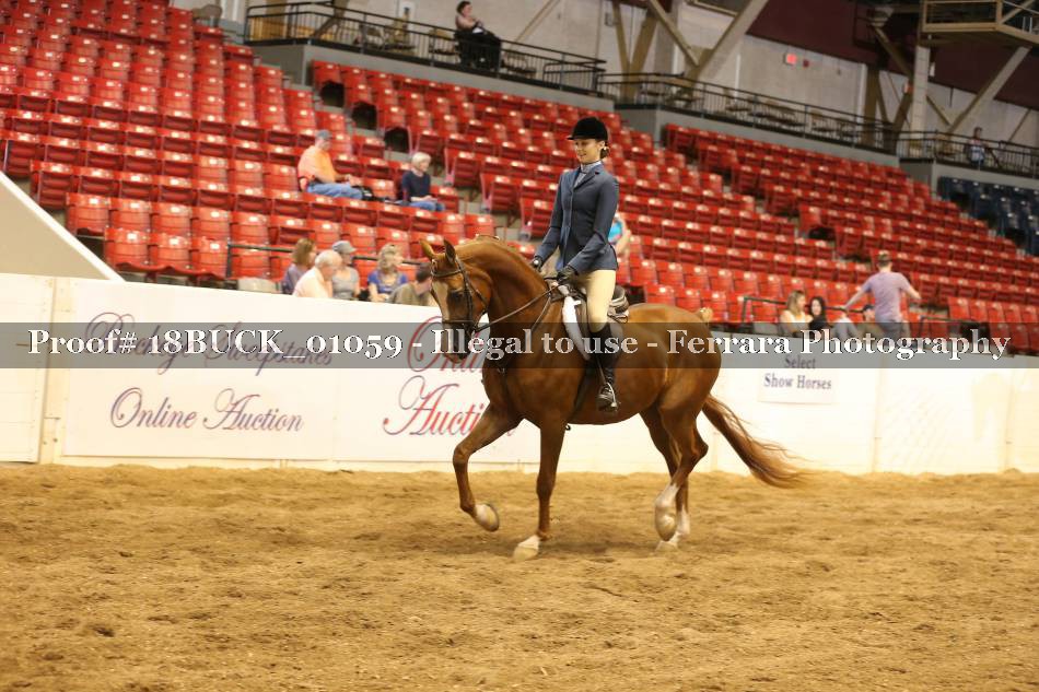 Proof 18BUCK_01059