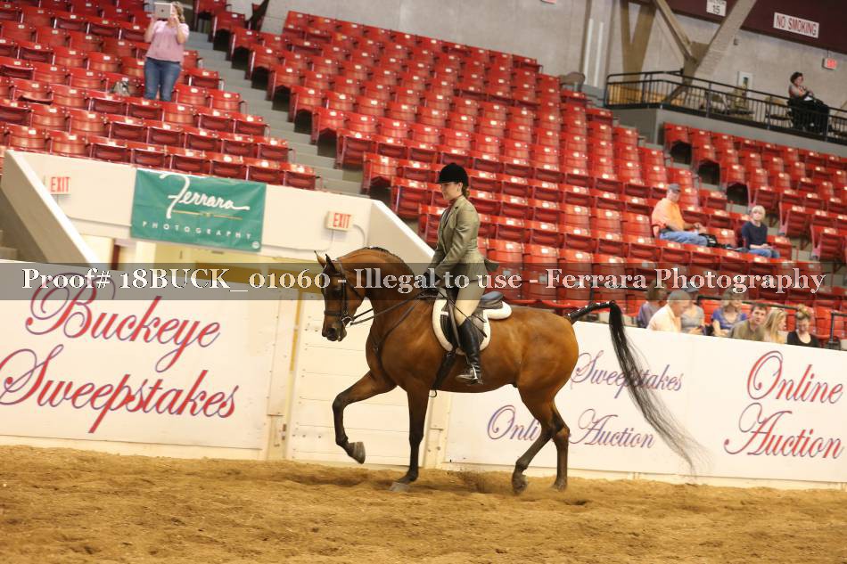 Proof 18BUCK_01060