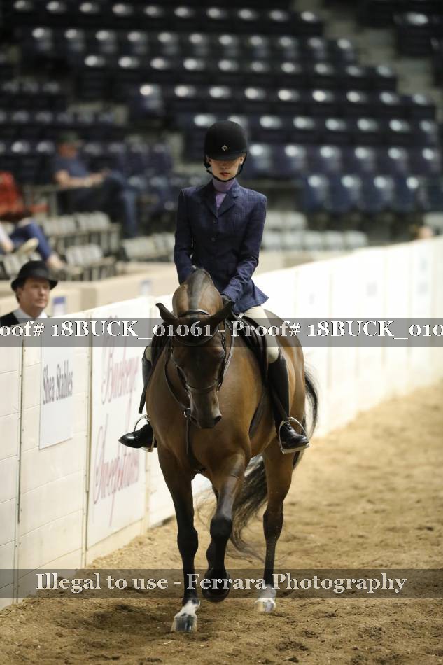 Proof 18BUCK_01061