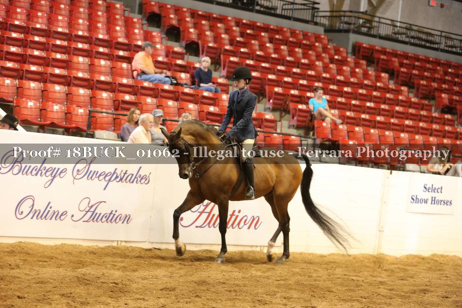 Proof 18BUCK_01062