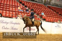 18BUCK_01062 proof