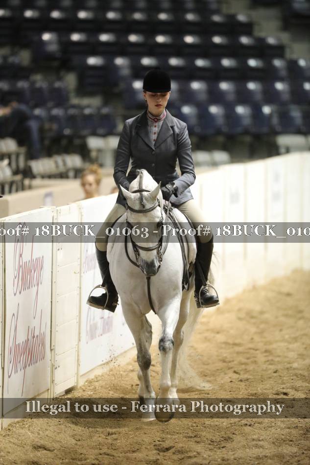 Proof 18BUCK_01063
