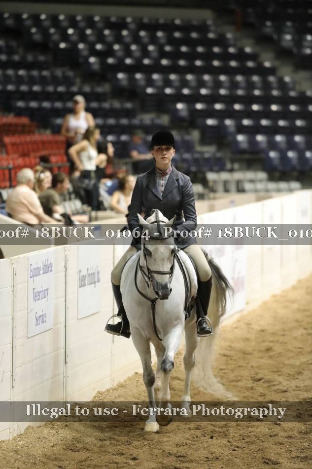Proof 18BUCK_01064