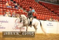 18BUCK_01065 proof
