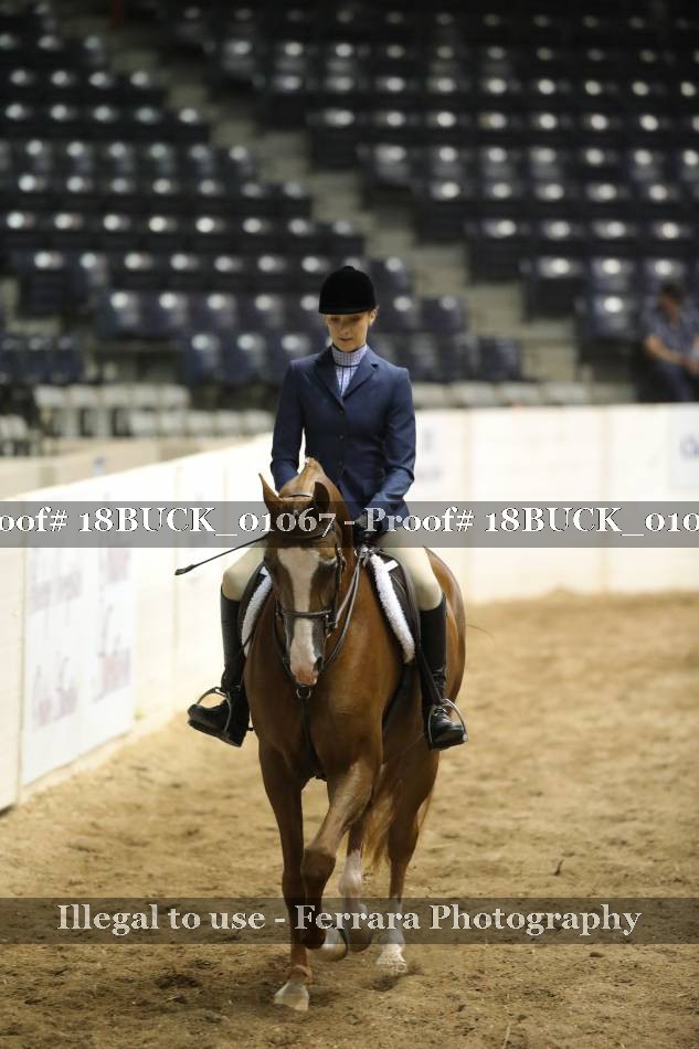 Proof 18BUCK_01067