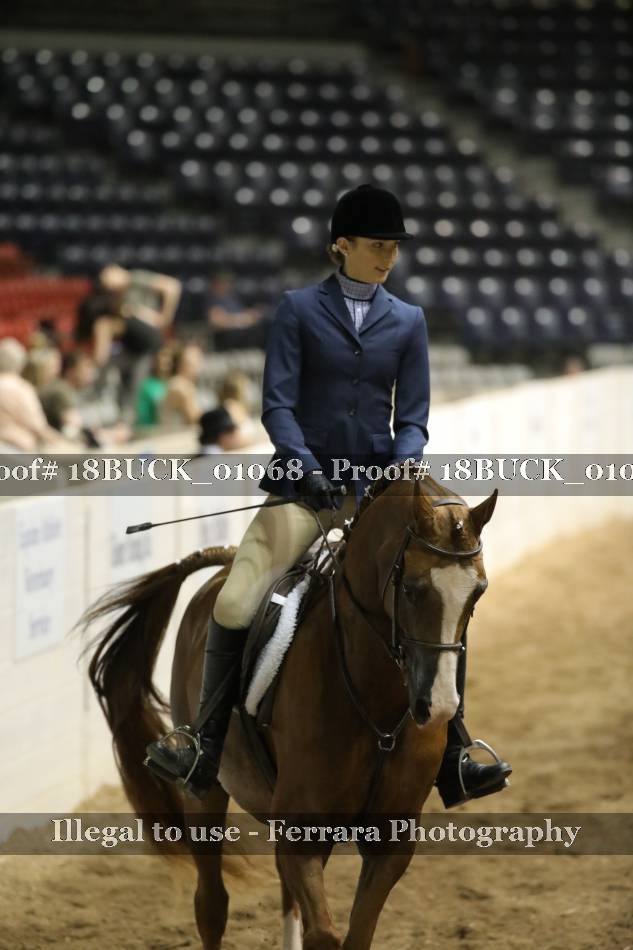 Proof 18BUCK_01068