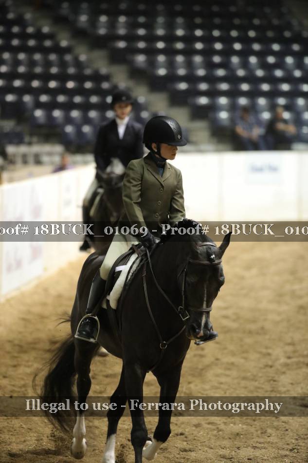 Proof 18BUCK_01069