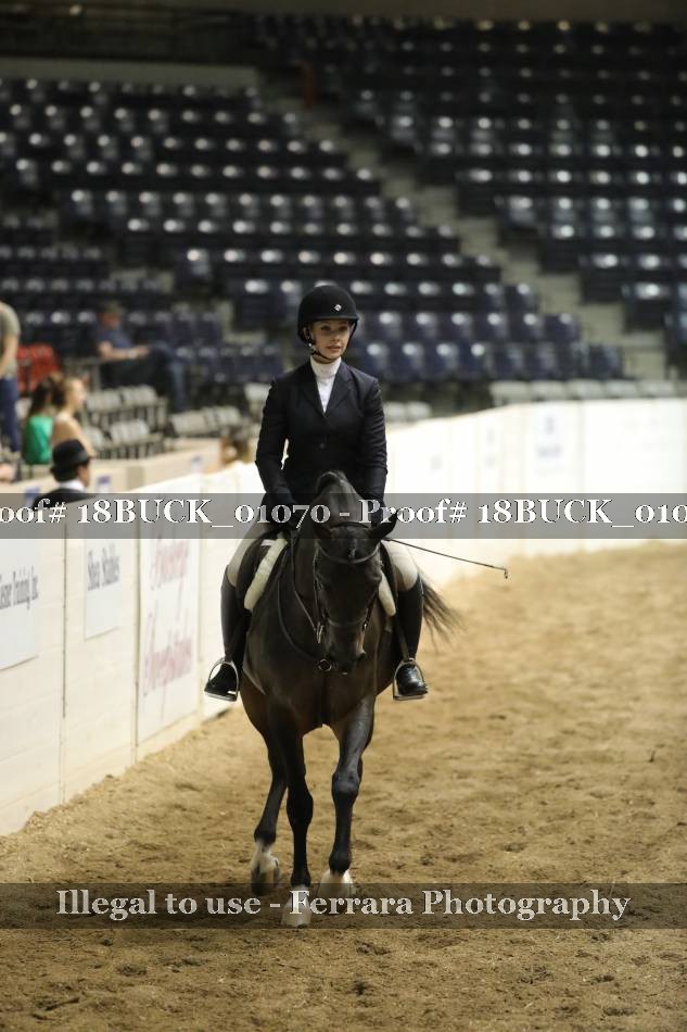 Proof 18BUCK_01070