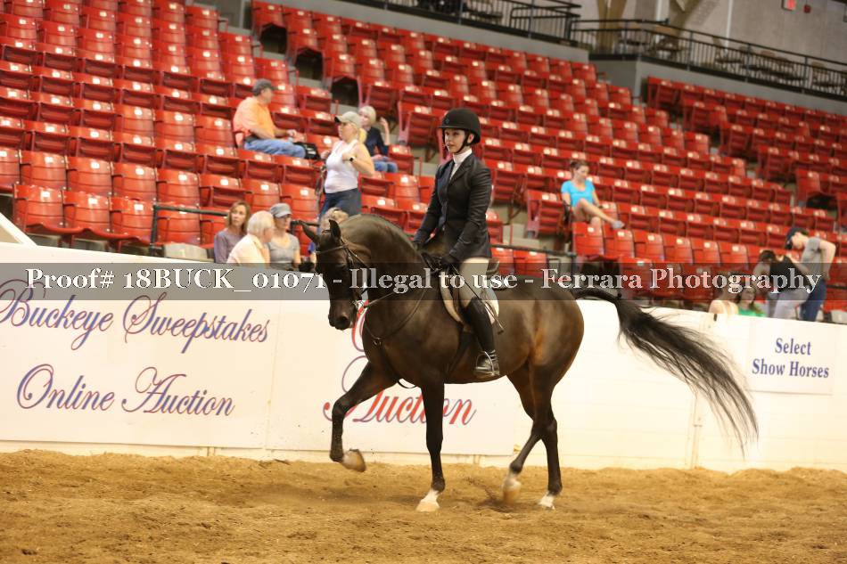 Proof 18BUCK_01071