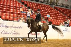 18BUCK_01071 proof