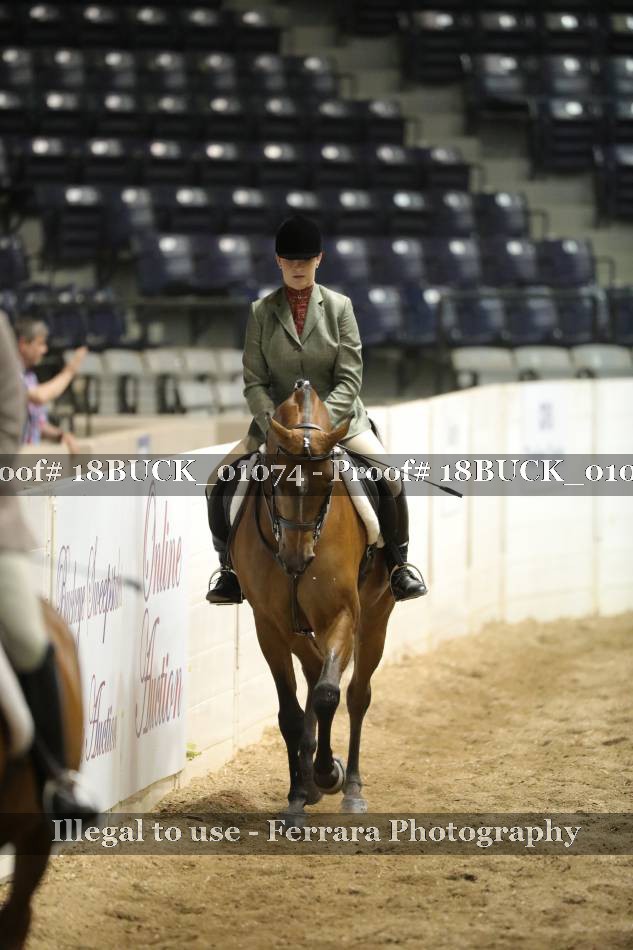 Proof 18BUCK_01074