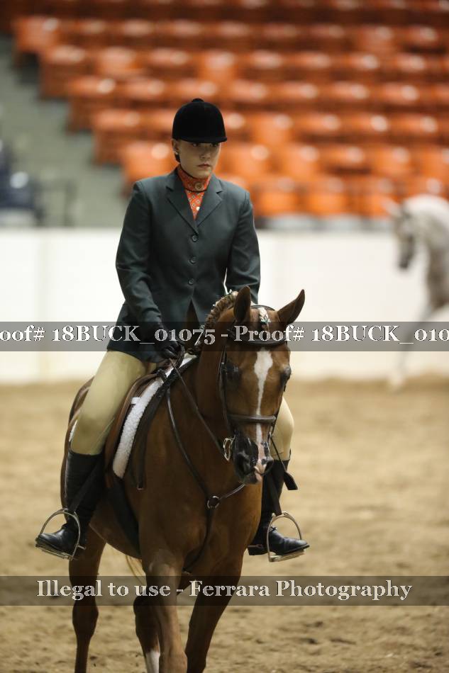 Proof 18BUCK_01075