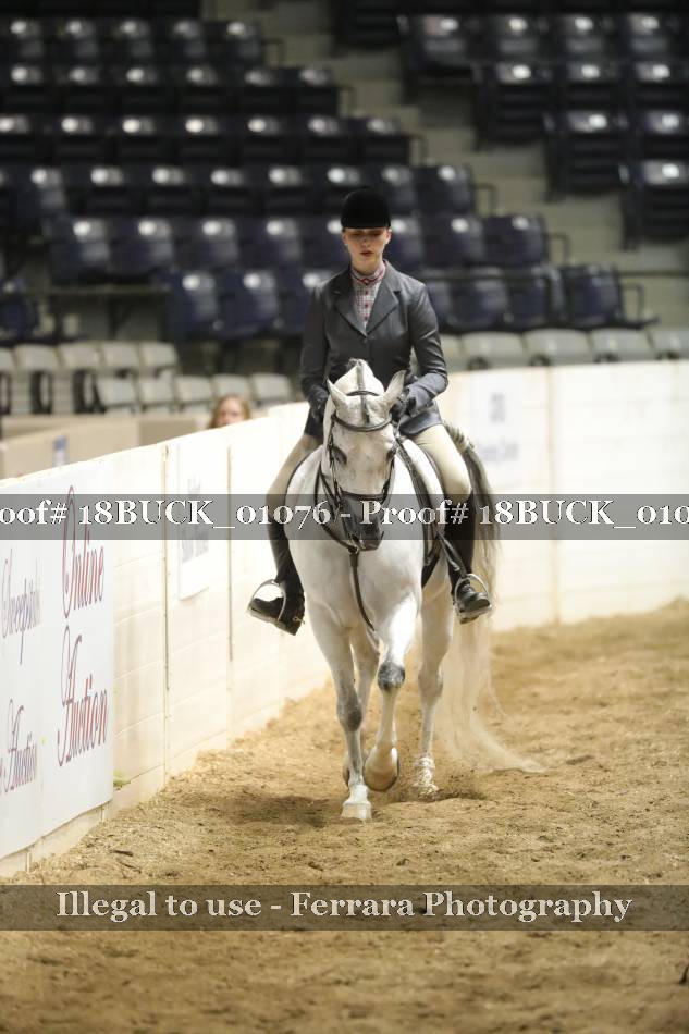 Proof 18BUCK_01076