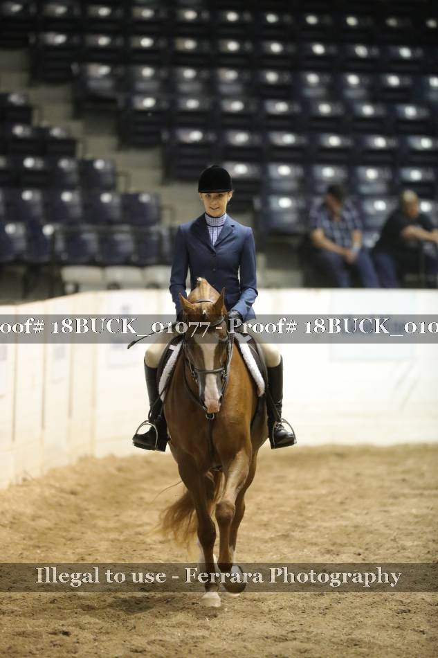 Proof 18BUCK_01077