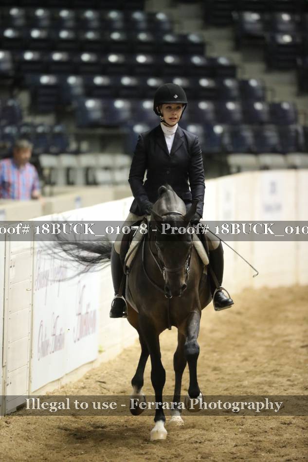 Proof 18BUCK_01078