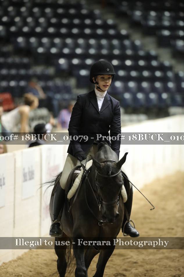 Proof 18BUCK_01079
