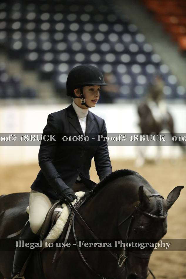 Proof 18BUCK_01080