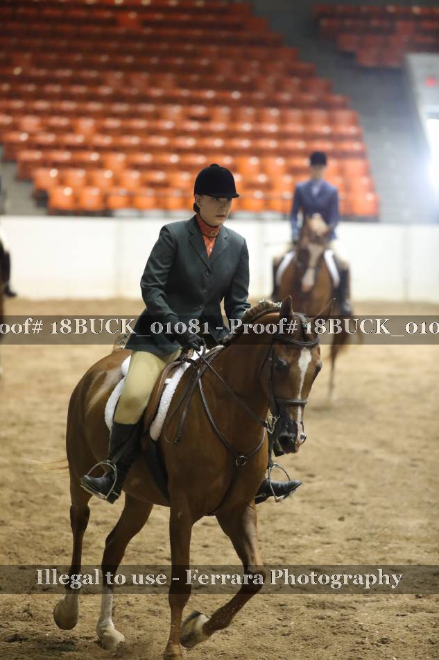 Proof 18BUCK_01081