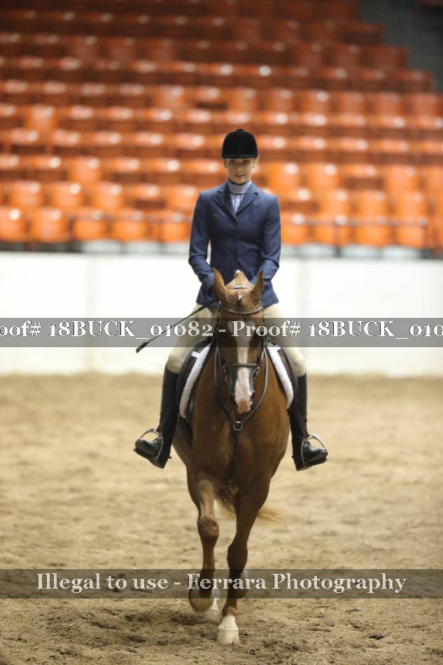 Proof 18BUCK_01082