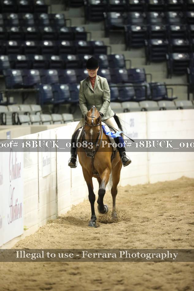 Proof 18BUCK_01083