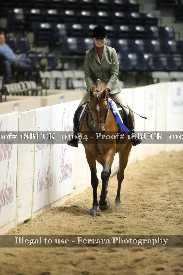 Proof 18BUCK_01084