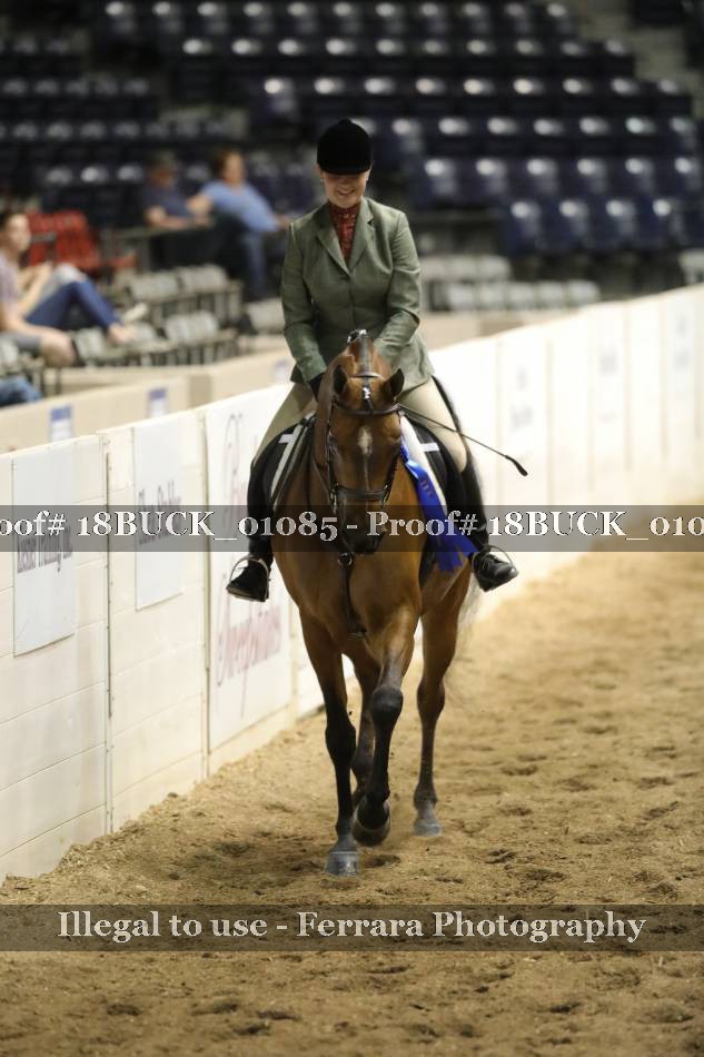 Proof 18BUCK_01085