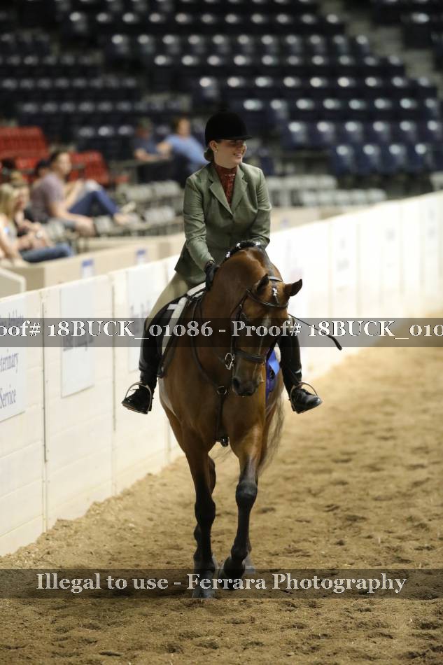 Proof 18BUCK_01086