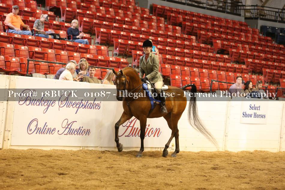 Proof 18BUCK_01087