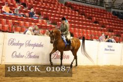 18BUCK_01087 proof