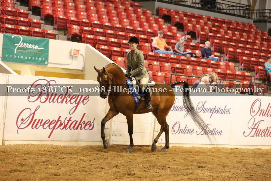 Proof 18BUCK_01088