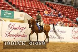 18BUCK_01088 proof