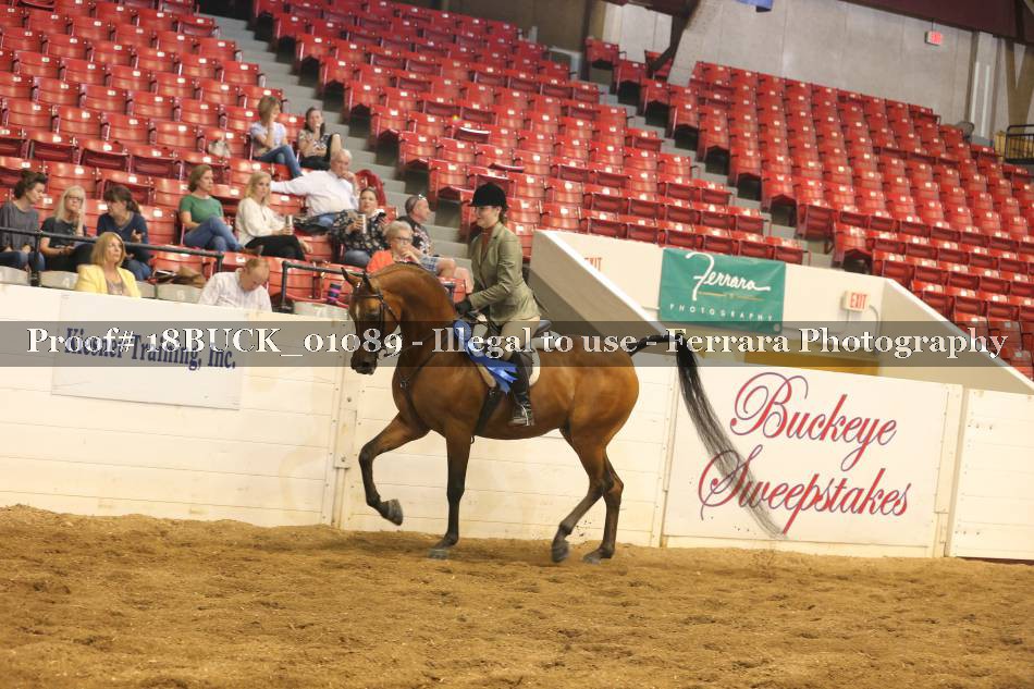 Proof 18BUCK_01089