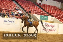 18BUCK_01089 proof