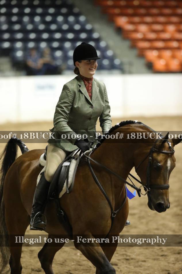 Proof 18BUCK_01090