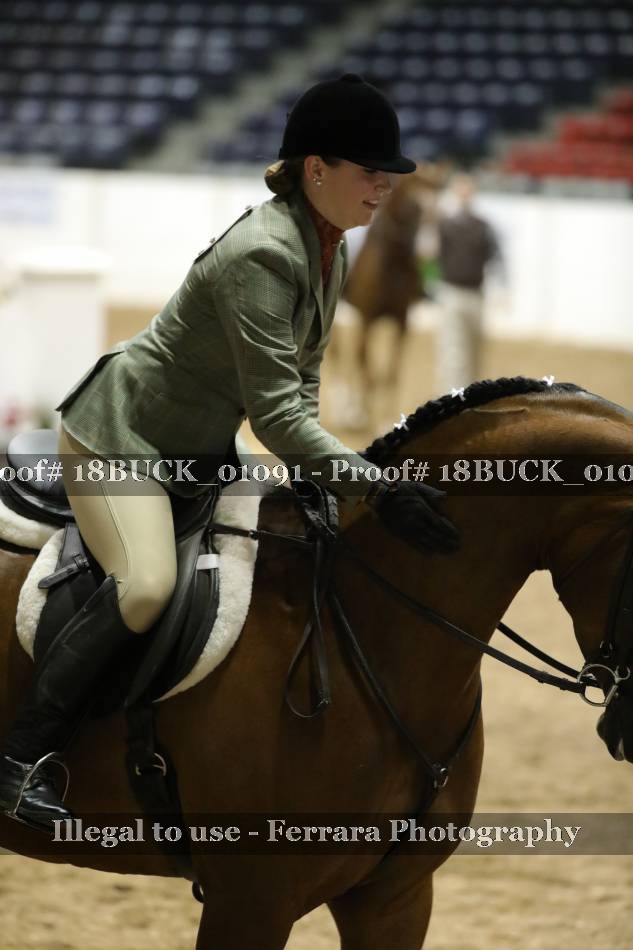 Proof 18BUCK_01091
