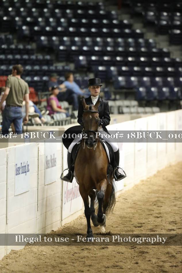 Proof 18BUCK_01092